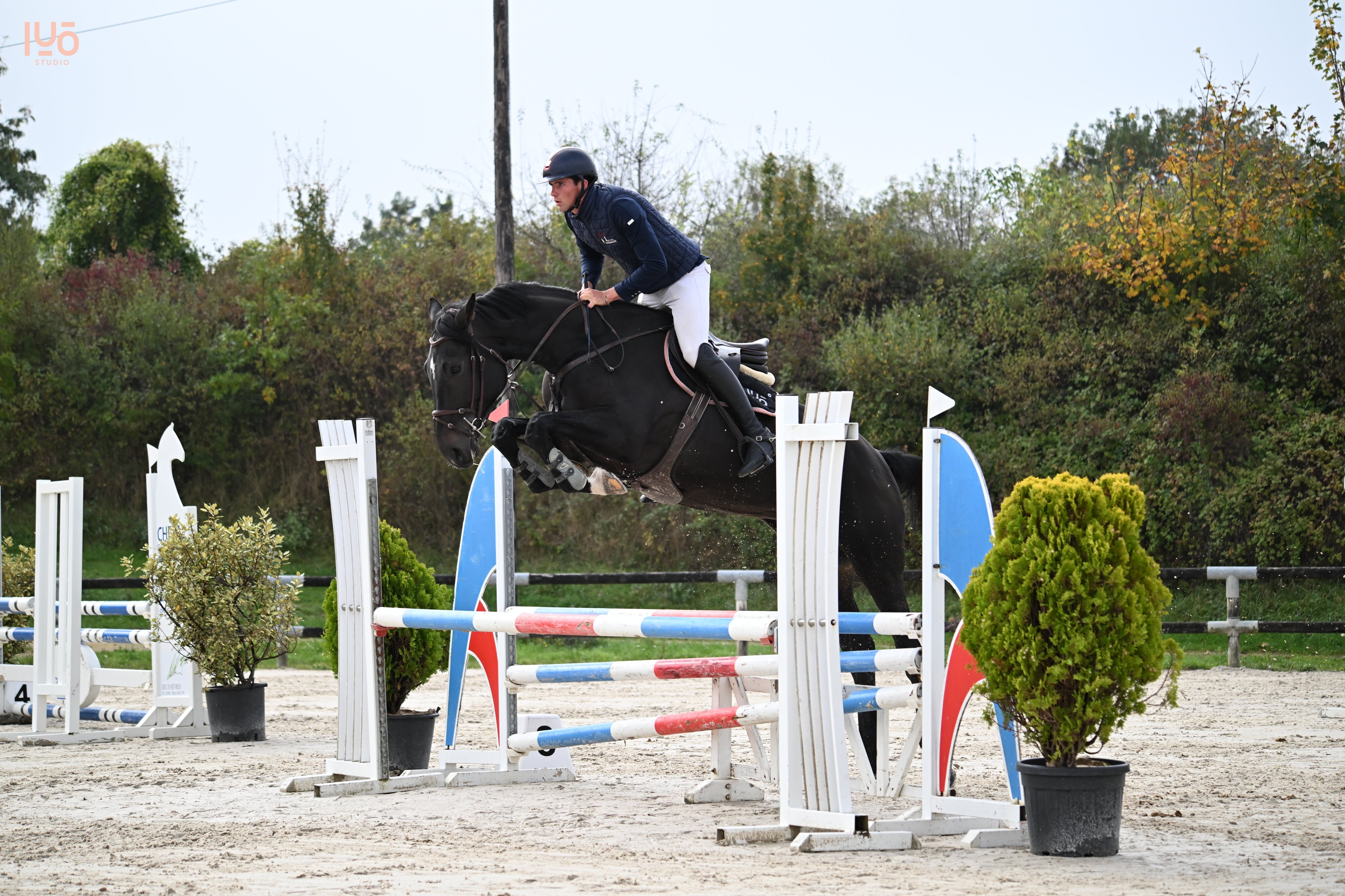 CORNET DE JARSAY Z CORNET DE JARSAY Z