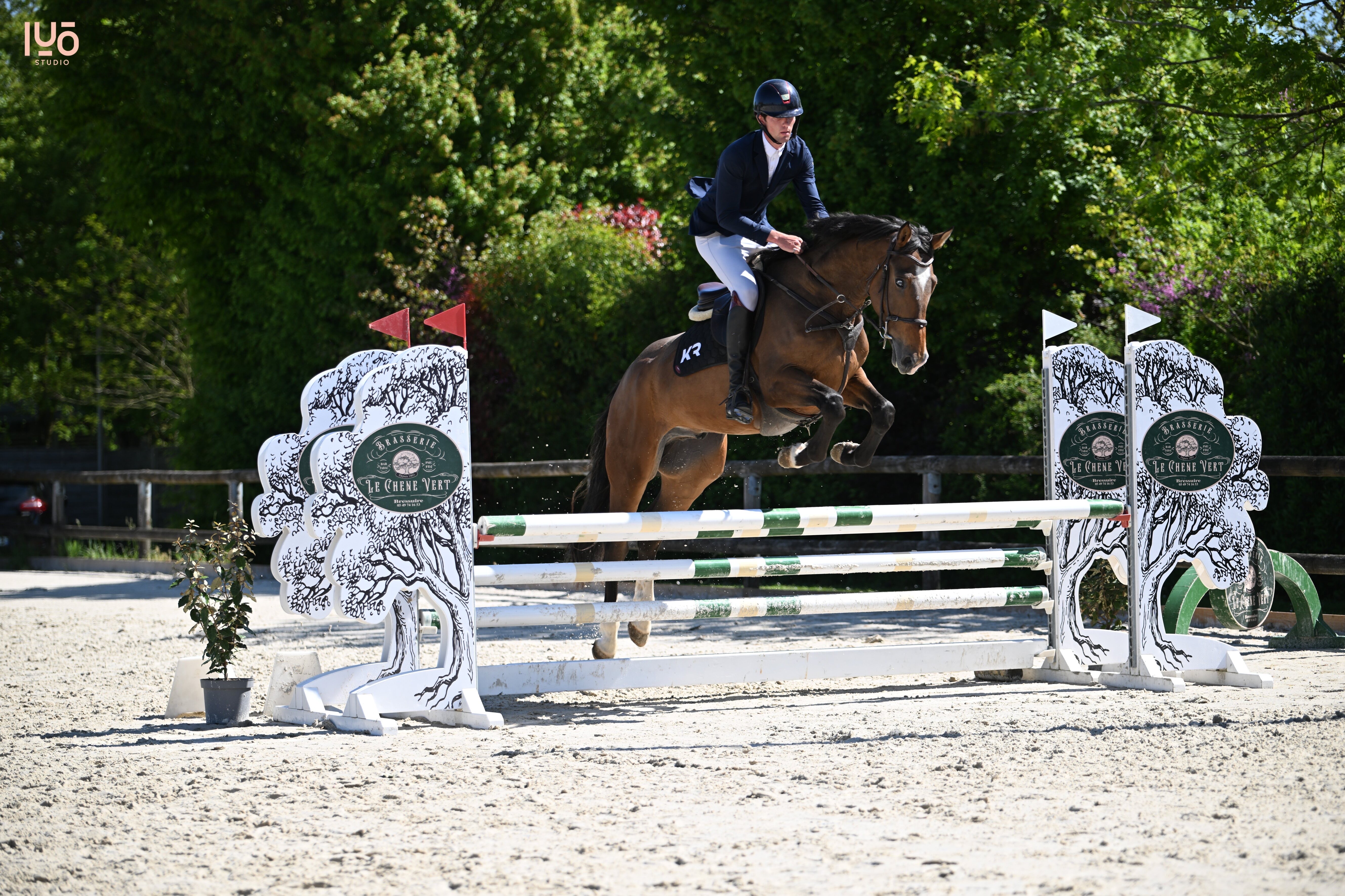 COLOR IT DE JARSAY Z