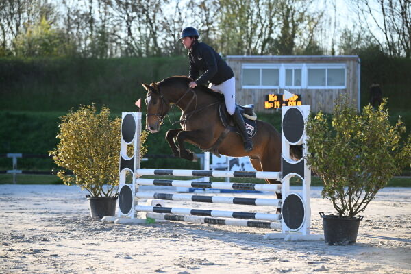 COLOR IT DE JARSAY Z