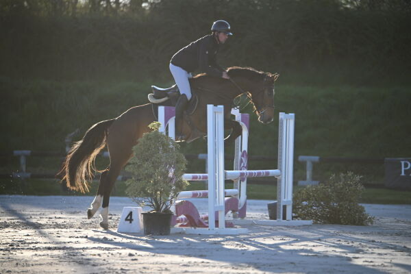 COLOR IT DE JARSAY Z