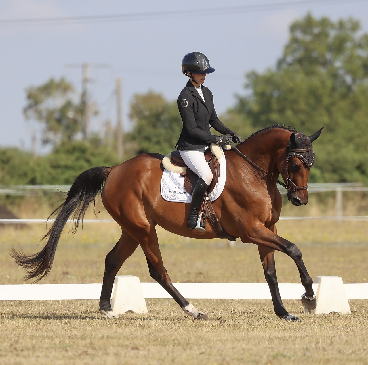 LUNEDEMIEL DE JARSAY