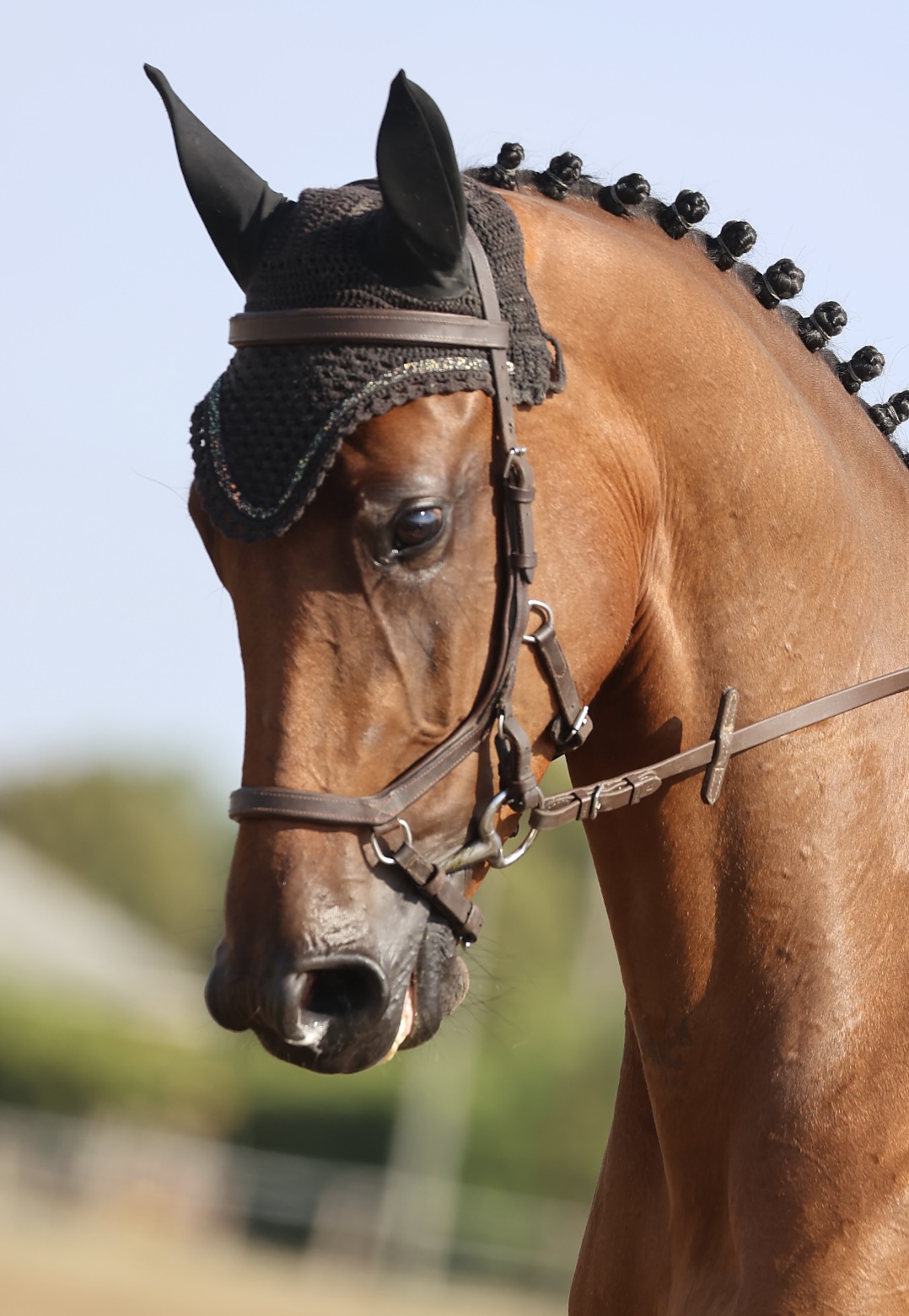 LUNEDEMIEL DE JARSAY