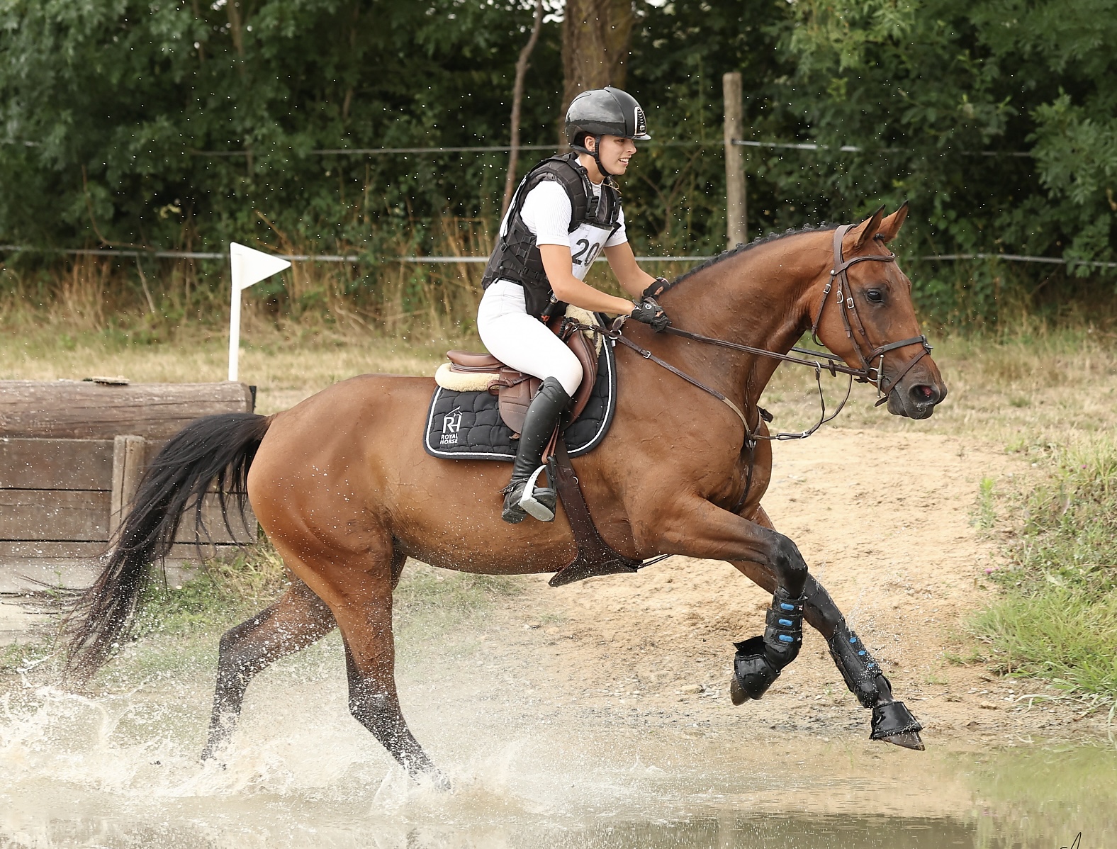 LUNEDEMIEL DE JARSAY