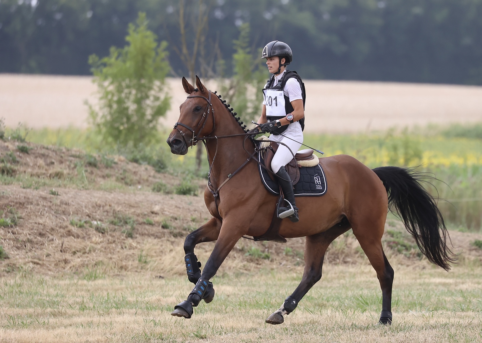 LUNEDEMIEL DE JARSAY