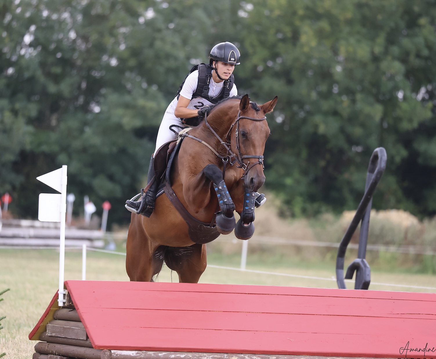 LUNEDEMIEL DE JARSAY LUNEDEMIEL DE JARSAY